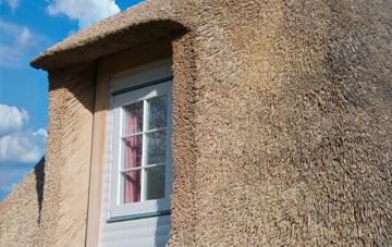 Cloudesley Bush thatch roof disadvantages
