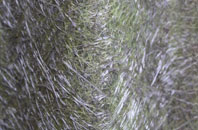 Cloudesley Bush fibreglass roof work